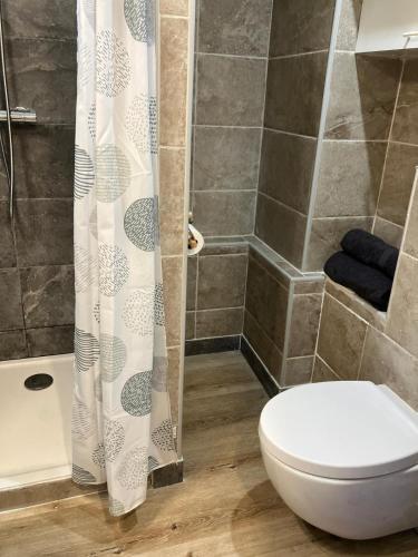 a bathroom with a toilet and a shower at Le Cocon étoilé in Métabief