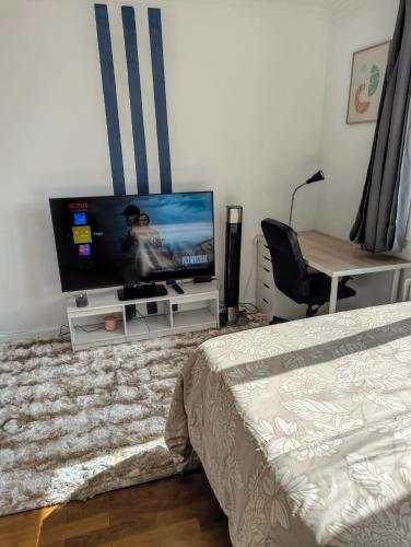 TV i/ili multimedijalni sistem u objektu Chambre