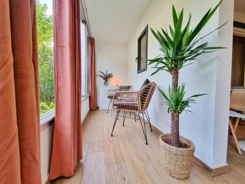 Écrin de Verdure - Design & Confort T2 38m2, WIFI, Piscine & Plage à 200m