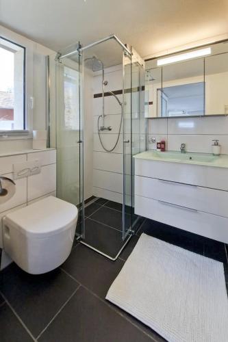 a bathroom with a shower and a toilet and a sink at Chalet Bellevue Beautiful Waterfall view private Garden & free parking in Lauterbrunnen