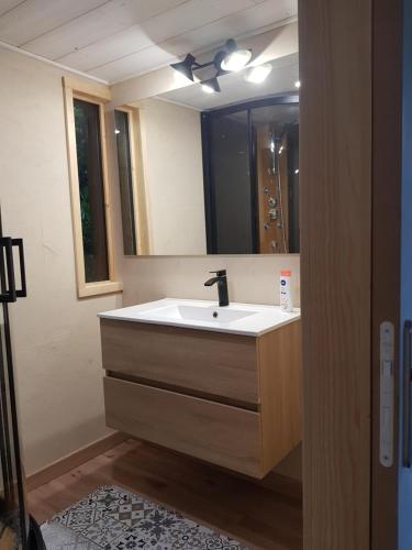 a bathroom with a sink and a mirror at Le Riolet in Marsac-en-Livradois