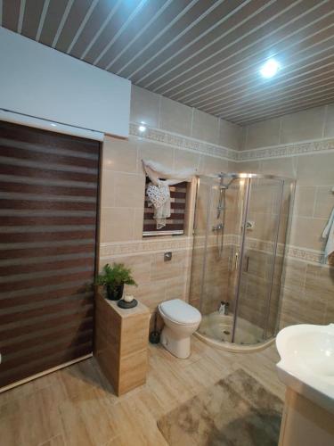a bathroom with a shower and a toilet and a sink at Malta Airport B&B bedroom with private shower