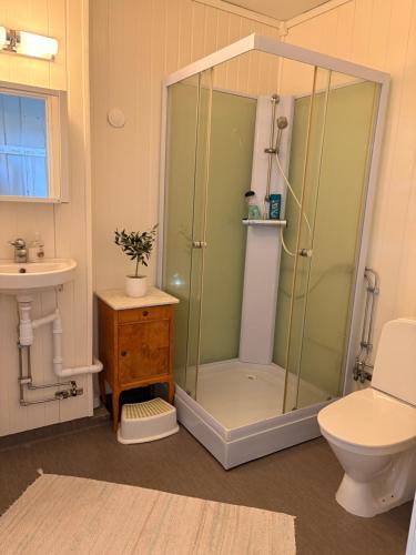 a bathroom with a shower and a toilet and a sink at Kyrkåsen in Borgvik