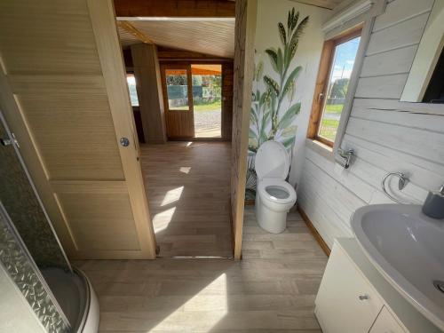 a bathroom with a toilet and a sink at Chalet LALi in Saint-Étienne-de-Fontbellon