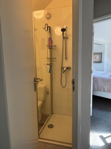 a bathroom with a shower and a toilet at BelleVie Apartment, Eijsden-Maastricht in Eijsden