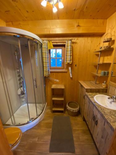 a bathroom with a shower and a sink at Pichelhütte in Murau
