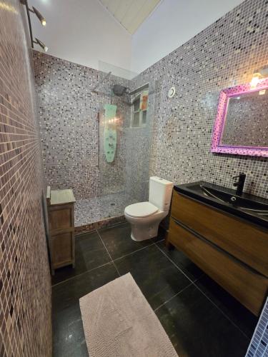 a bathroom with a toilet and a sink and a mirror at Gîte, jacuzzi et piscine in Cintegabelle