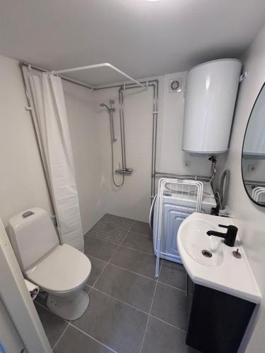 a bathroom with a toilet and a sink and a shower at Stuga PETEL in Färjestaden