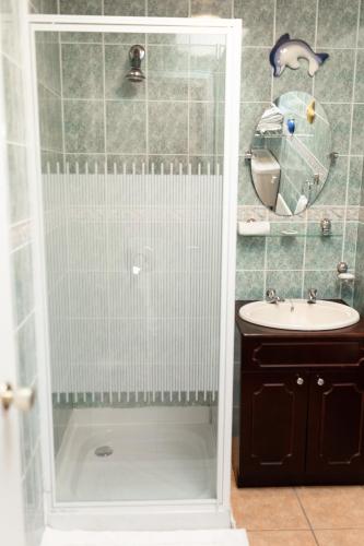 a bathroom with a shower and a sink at The Wild Atlantic Hideaway in Inch
