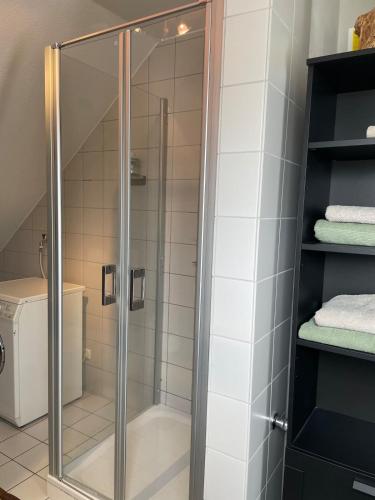 a shower with a glass door in a bathroom at Ferienwohnung Dümmerling in Hüde in Hüde