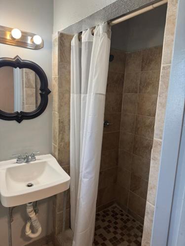 a bathroom with a sink and a shower curtain at Park Motel in Tampa