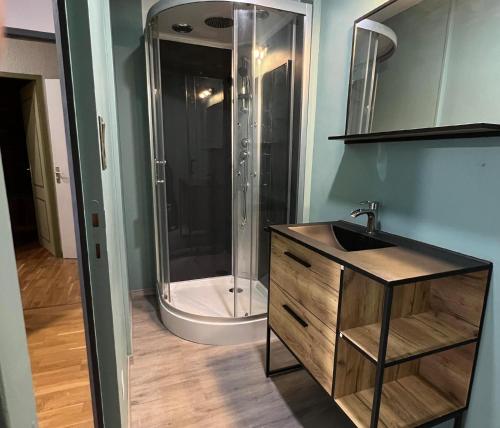 ein Badezimmer mit Dusche und Waschbecken in der Unterkunft Appart Hôtel Ambert in Marsac-en-Livradois
