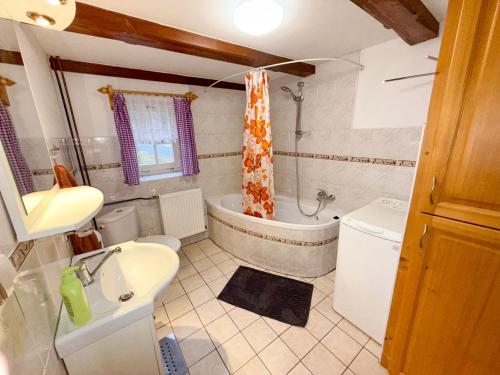 a bathroom with a tub and a sink and a toilet at Roprachtická chalupa in Roprachtice