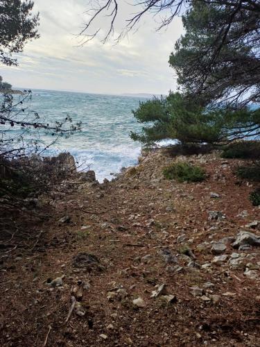 Apartmani Marica Suha punta