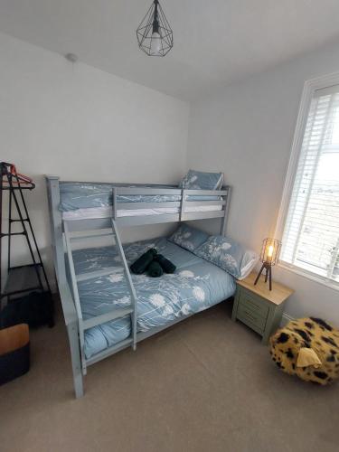 a bedroom with a bunk bed and a ladder at Harrys Hideaway Cottage in Haworth