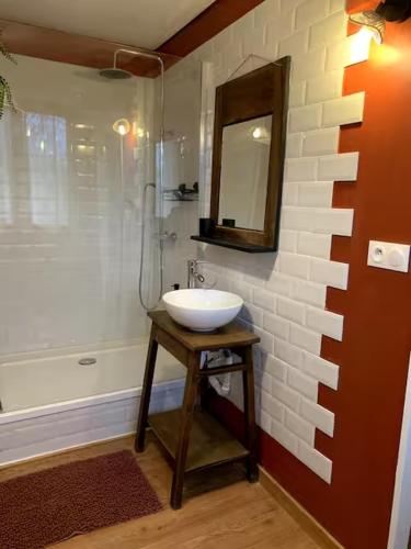 a bathroom with a sink and a shower and a mirror at Les Cocons de Nabeillou in Graulhet