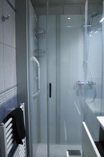 a shower with a glass door in a bathroom at Studio Avondzon in Blankenberge