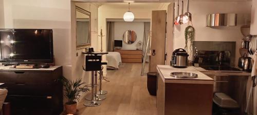 Magnifique Loft 65m en Open Space