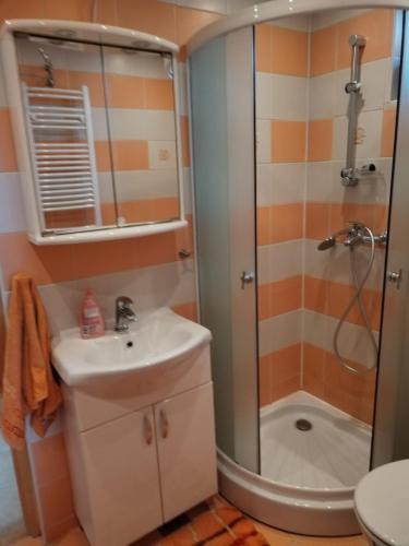 a bathroom with a shower and a sink at Nelly Apartman in Gheorgheni