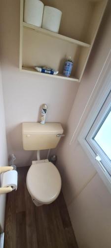 a small bathroom with a toilet and a window at Towyn Happy Days K3 in Rowen