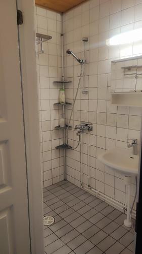 a bathroom with a shower and a sink at Hartikkalan Apartments in Lappeenranta