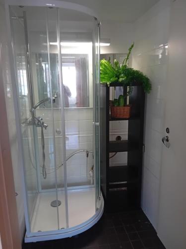 a shower with a glass door in a bathroom at Hostel Yöpöllö in Kouvola