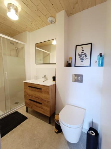 a bathroom with a toilet and a sink and a mirror at La tournette - Sur la route d'Annecy in Alby