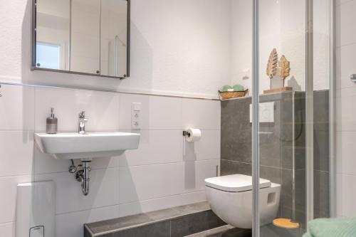 a bathroom with a sink and a toilet and a mirror at Ferienwohnung Anna in Heimbach
