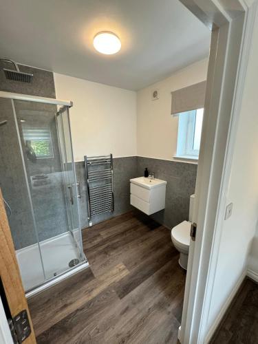 a bathroom with a shower and a toilet at Inchfad Apartment 2/1 in Bonhill