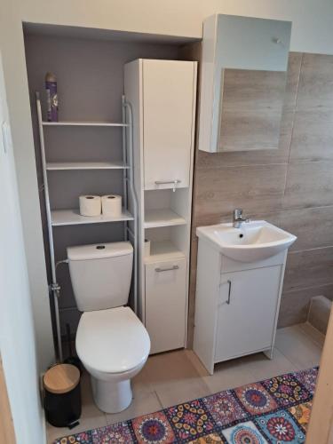 a small bathroom with a toilet and a sink at Przystań nad Dłubnią in Wysocice