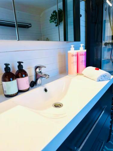 a bathroom sink with two bottles of soap at Sivi`s hus in Moskenes