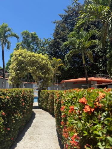a row of hedges with flowers and palm trees at Thompson House in Orotina