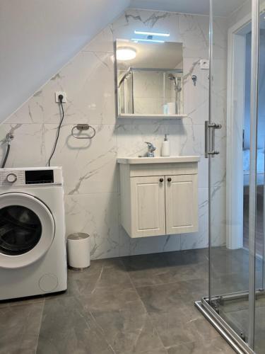 a bathroom with a washing machine and a sink at Villa Otto - Private Pool & Garden in Zagreb