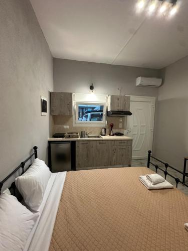 Luxury ground floor apartment