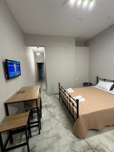 Luxury ground floor apartment