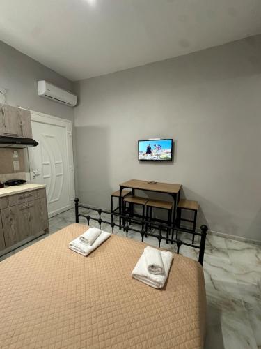 Luxury ground floor apartment