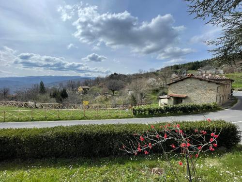 a road with a building on the side of it at L'Orto di Scarpaccia in Pratovecchio
