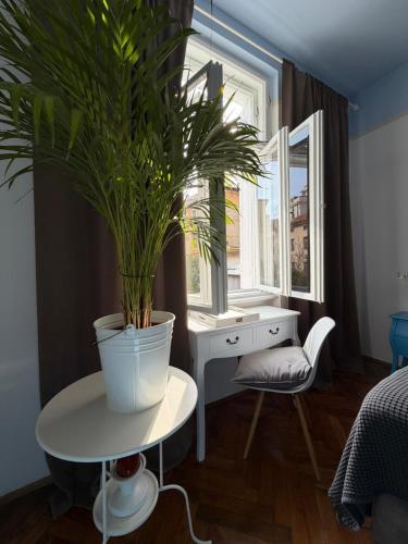 a potted plant sitting on a table in a bedroom at Apartment with spacious terrace Villa Floramy in Opatija