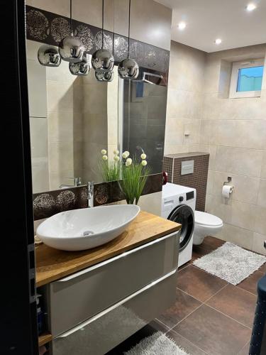 a bathroom with a sink and a washing machine at Ogrodowa Apartament in Ciechocinek
