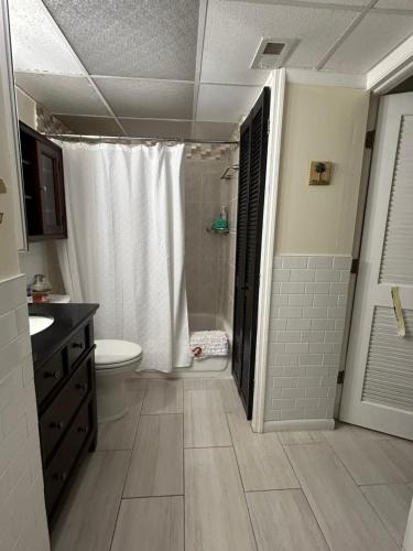 a bathroom with a shower and a toilet and a sink at Clearwater Beach Getaway Clearwater in Clearwater