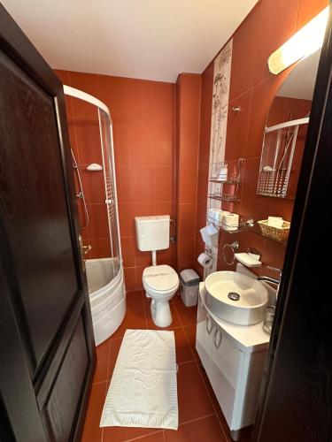 a bathroom with a toilet and a sink and a shower at Pensiunea Mugur De Fluier in Vama
