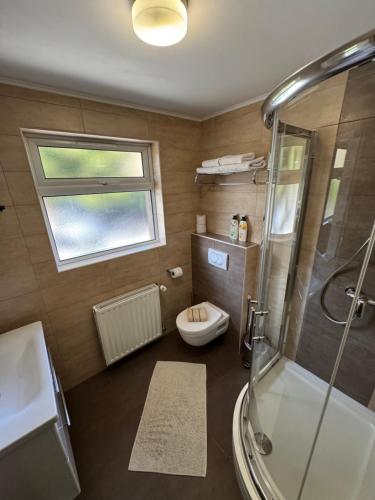 a bathroom with a shower and a toilet and a window at B&B Millenium House 2 in Jezerce