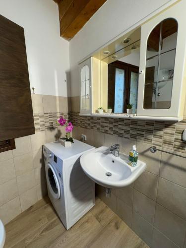 a bathroom with a sink and a washing machine at Ginepro Home Holidays in Villanova Monteleone