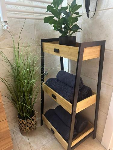 a wooden shelf with towels and a plant on it at DIAMOND MIRAGE Militari Residence in Chiajna