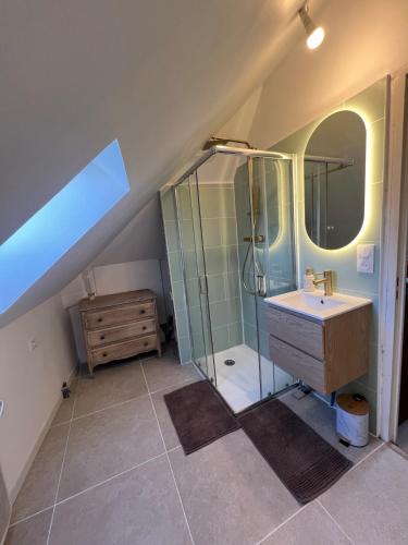 a attic bathroom with a shower and a sink at appartement de charme in Pont-Sainte-Marie