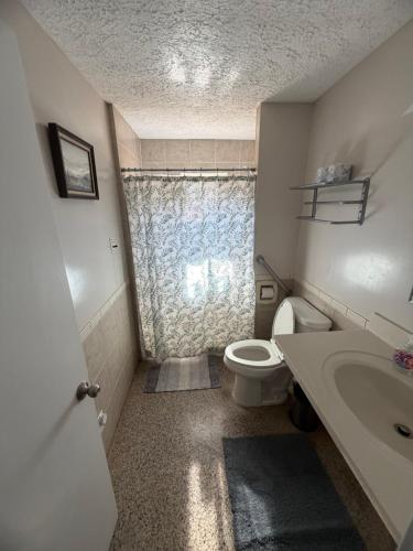 a small bathroom with a toilet and a sink at The Holler in Andrews