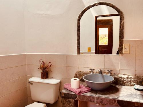 a bathroom with a sink and a toilet and a mirror at Las Pircas Apartamentos - Centro de Cafayate in Cafayate