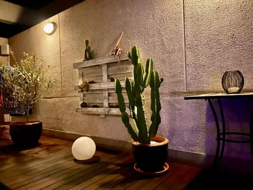 New offer Rooftop apartment