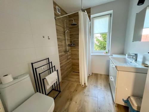a bathroom with a shower and a toilet and a sink at Campus Biebrza - apartamenty biebrzańskie in Osowiec