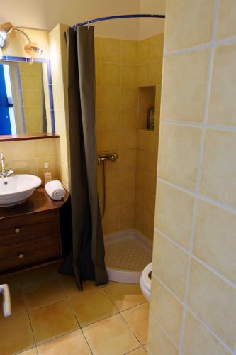 a bathroom with a shower and a toilet and a sink at Vacances au port in Saint-Cyprien-Plage